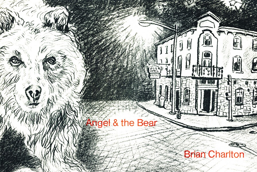 Book cover image for Angel and the Bear ISBN: 9780919626133